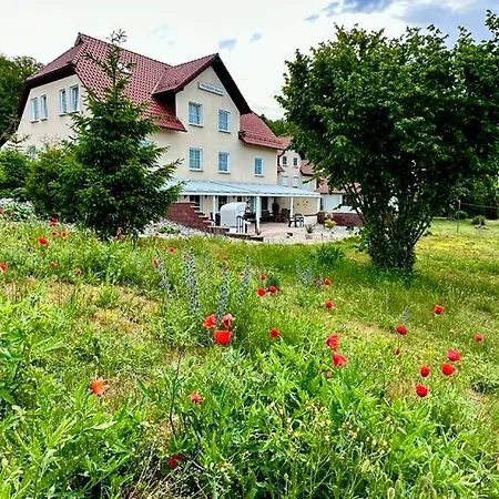 Hanni 招待所 Sellin (Rugen)