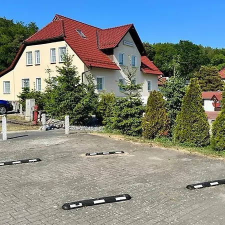 Hanni Sellin (Rugen)